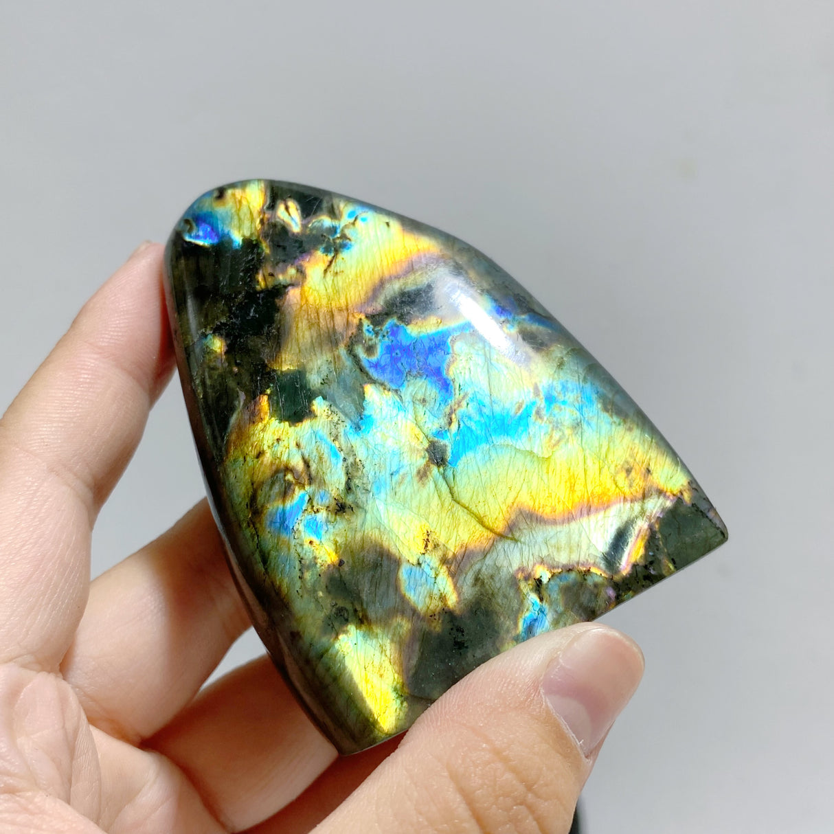 15 Pieces Labradorite Polished Free Form