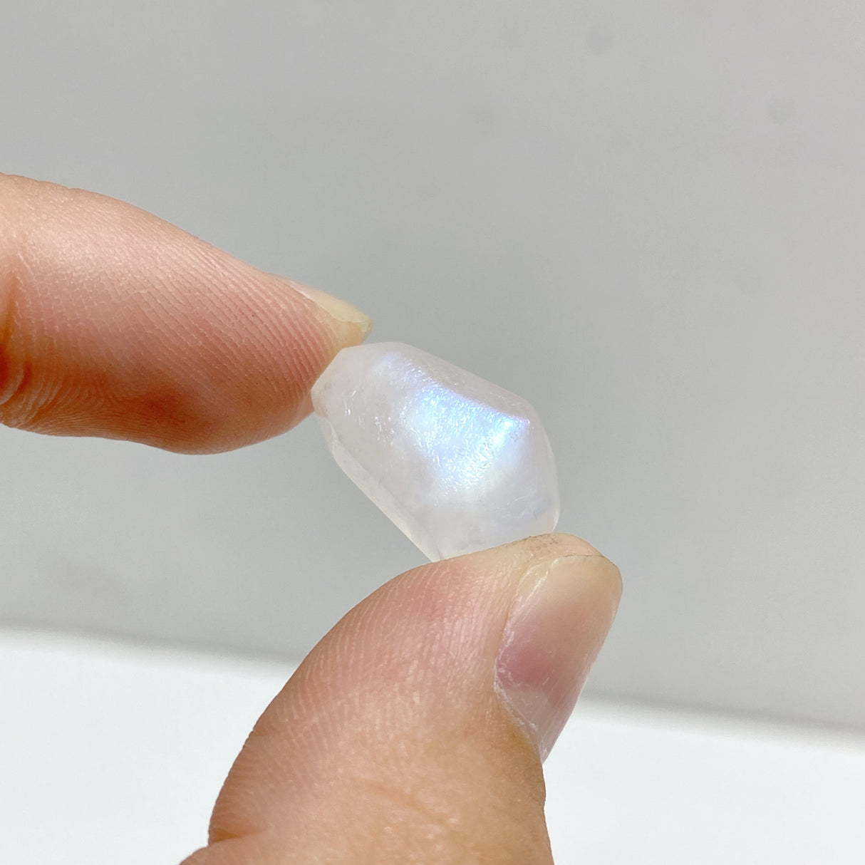 Small High Quality Blue Moonstone Free Form Wholesale