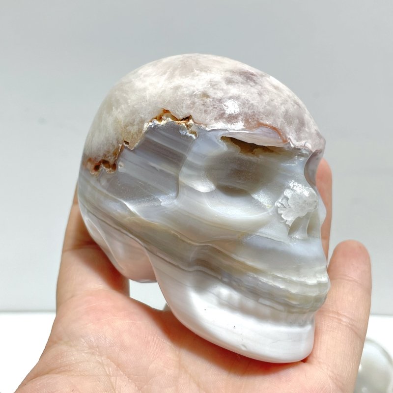 10 Pieces Sakura Flower Agate Skull Carving - Wholesale Crystals