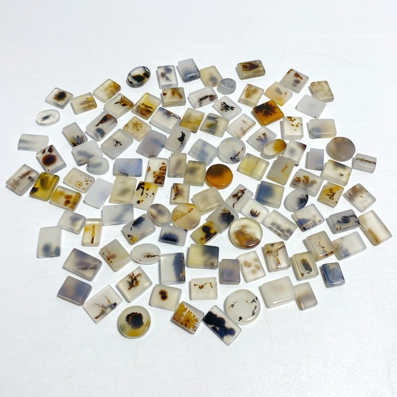 107 Pieces Natural Rare Scenic Dendritic Agate Stone - Wholesale Crystals