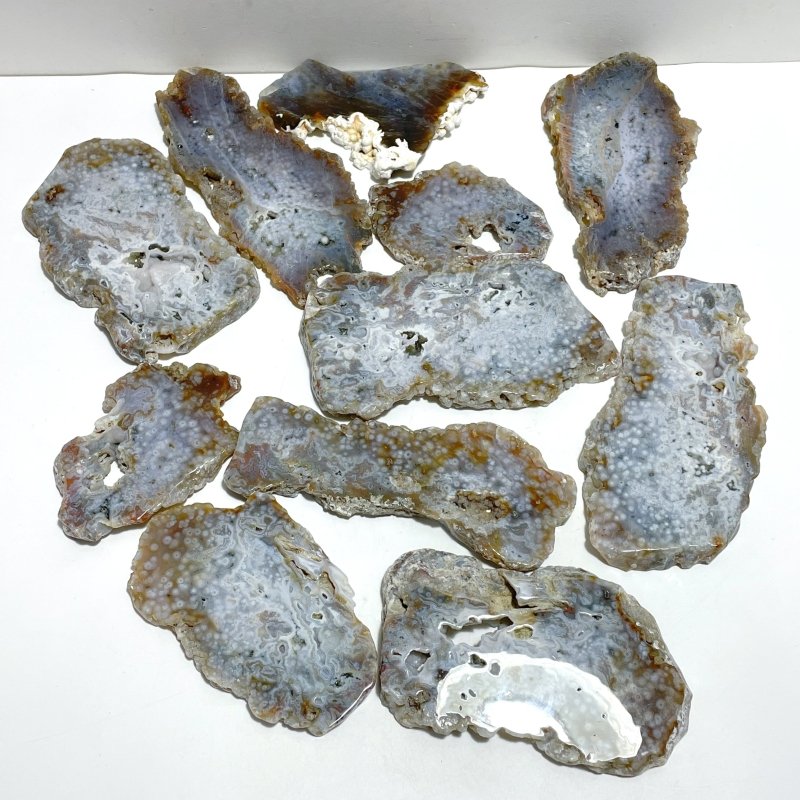 11 Pieces 6th Vein Ocean Jasper Slab - Wholesale Crystals