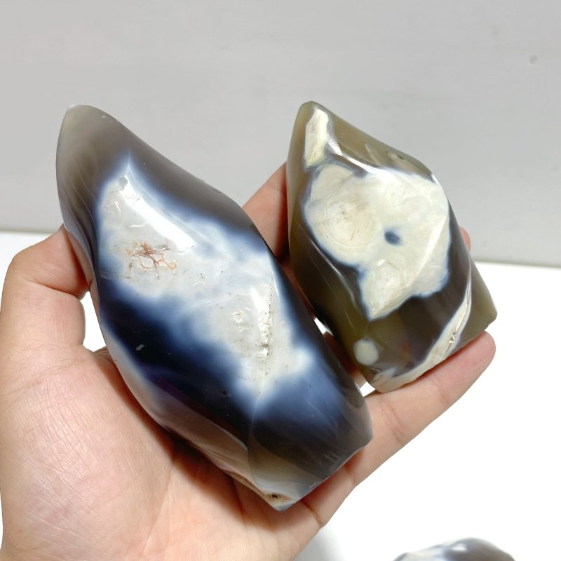 12 Pieces Black Orca Agate Flame Carving 1 - Wholesale Crystals