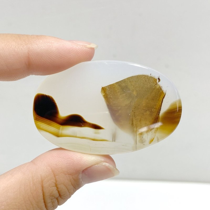 13 Pieces Natural Rare Scenic Dendritic Agate Stone -Wholesale Crystals