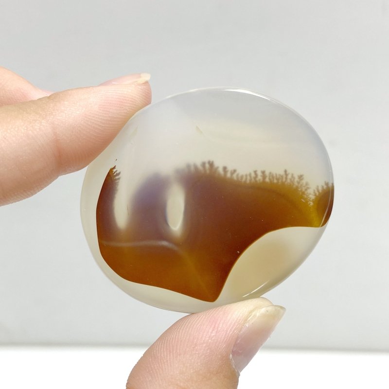 13 Pieces Natural Rare Scenic Dendritic Agate Stone -Wholesale Crystals