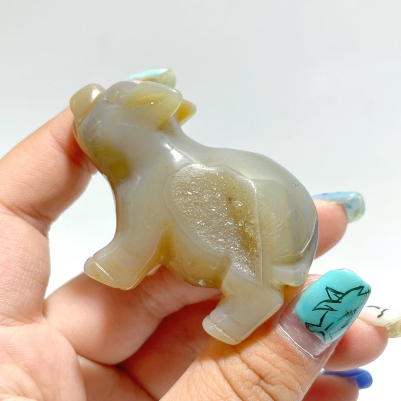 13 pieces Small Geode Agate Druzy Pig Carving - Wholesale Crystals