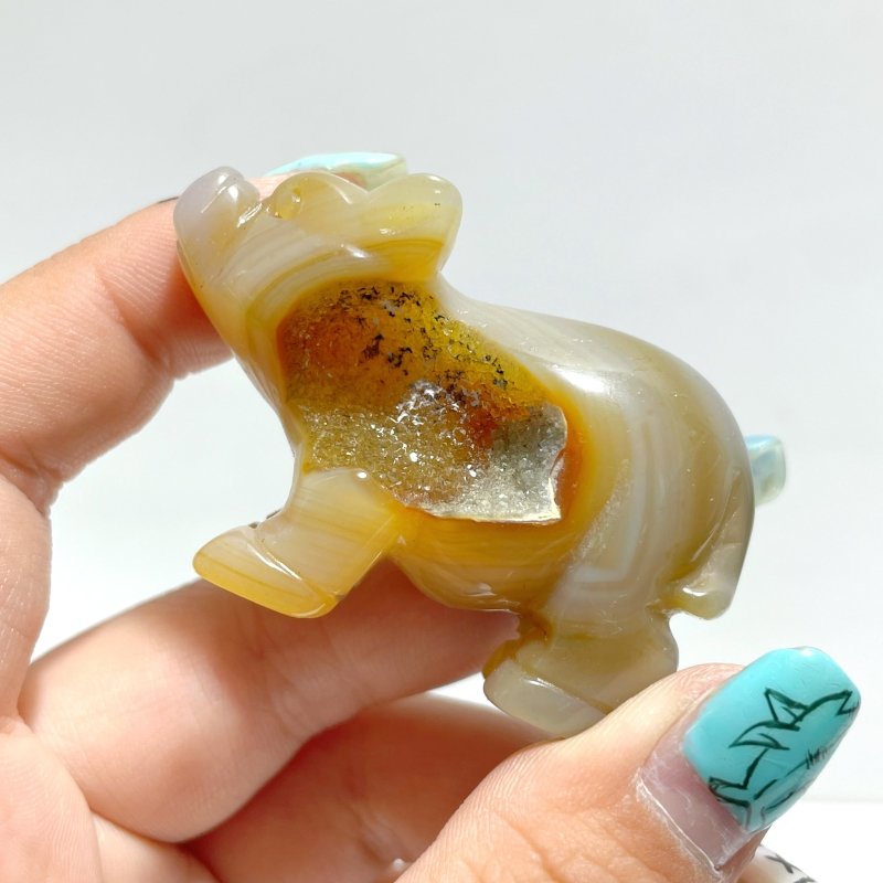 13 pieces Small Geode Agate Druzy Pig Carving - Wholesale Crystals