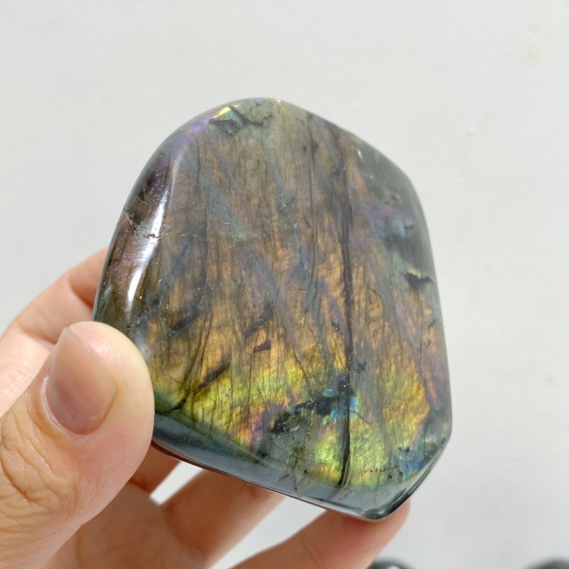 14 Pieces Beautiful Polished Labradorite Free Form -Wholesale Crystals