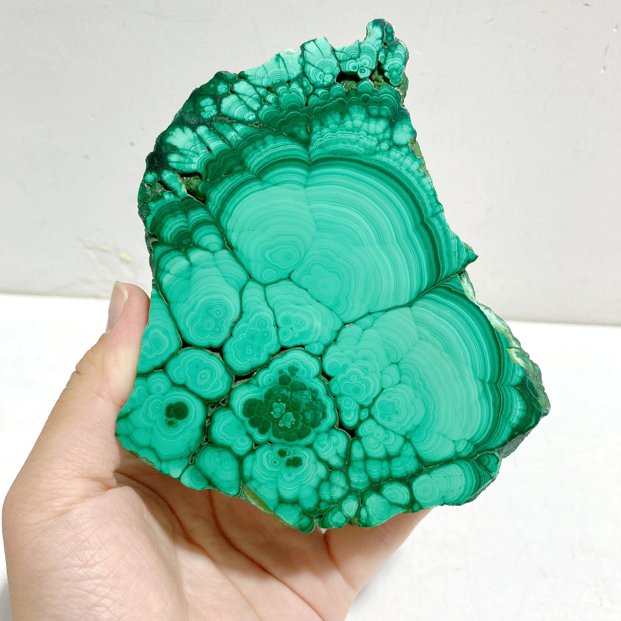 2 Pieces Malachite Raw Bottom With Stand