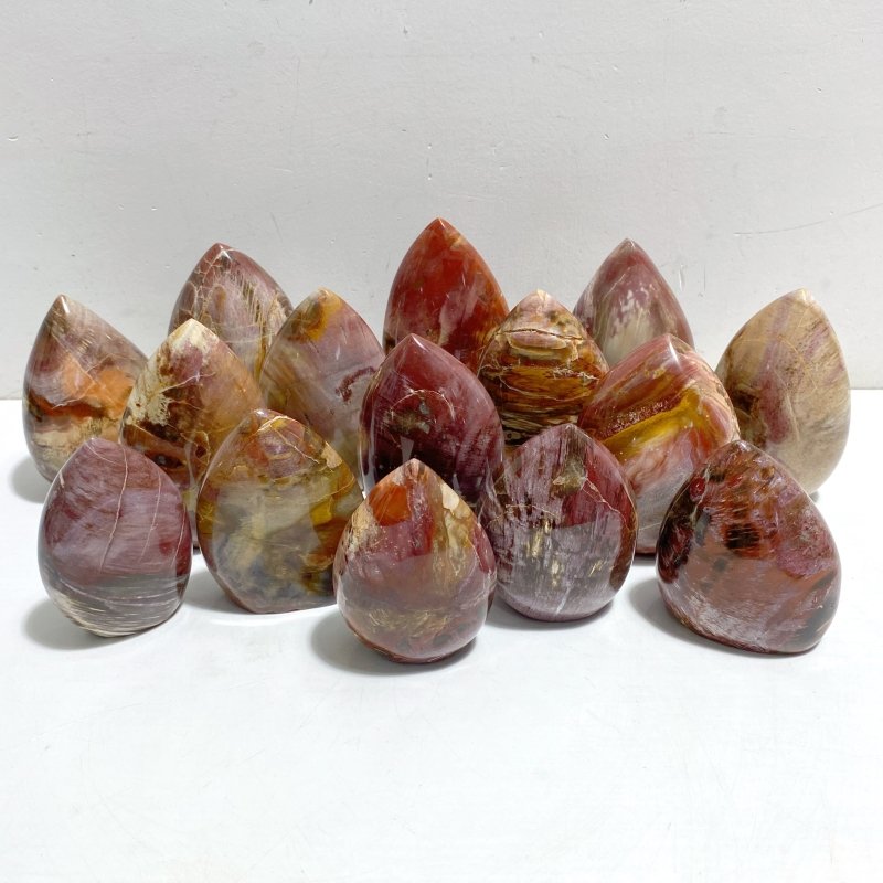 15 Pieces Petrified Wood Stone Arrow Head Shape -Wholesale Crystals
