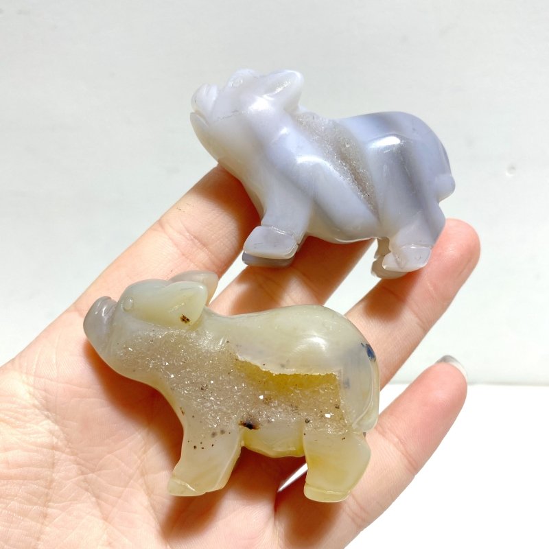 15 pieces Small Geode Agate Druzy Pig Carving - Wholesale Crystals