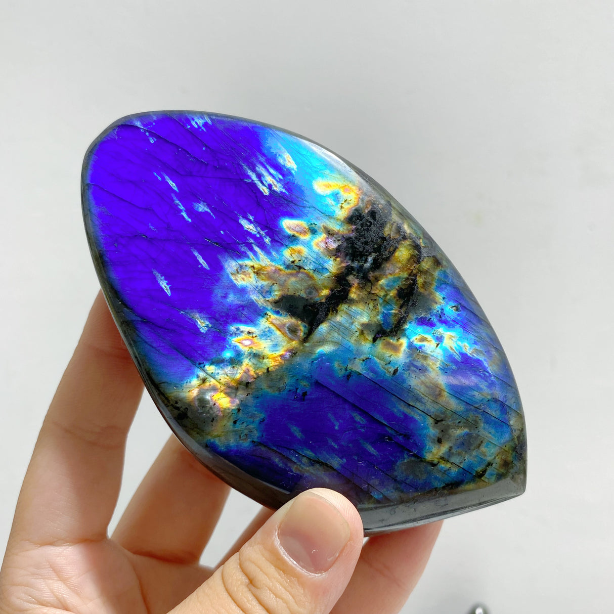 14 Pieces Beautiful Yellow Blue Labradorite Free Form