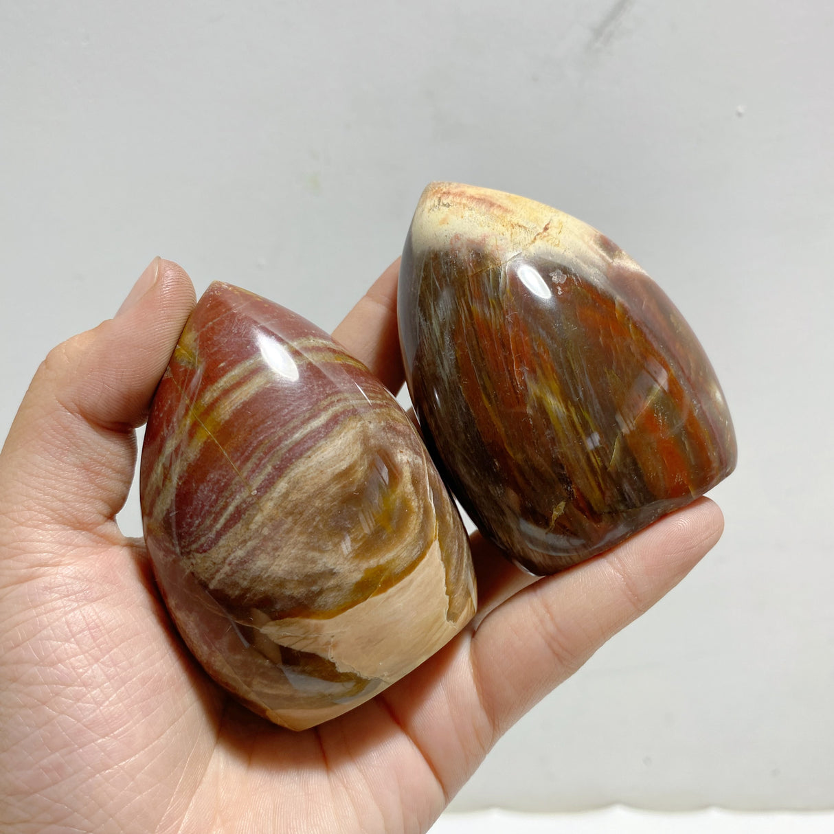 15 Pieces Petrified Wood Stone Arrow Head Shape
