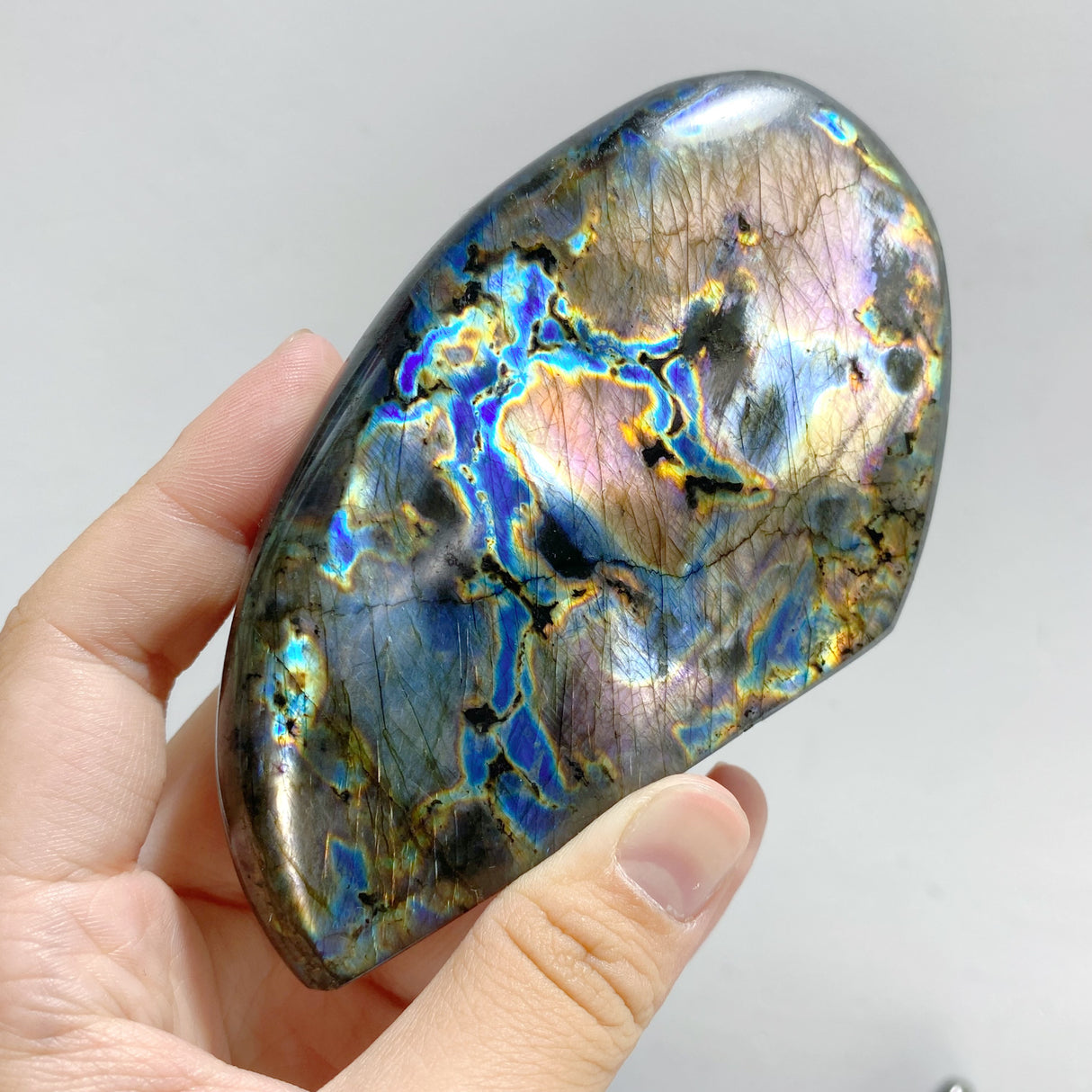 14 Pieces Beautiful Yellow Blue Labradorite Free Form