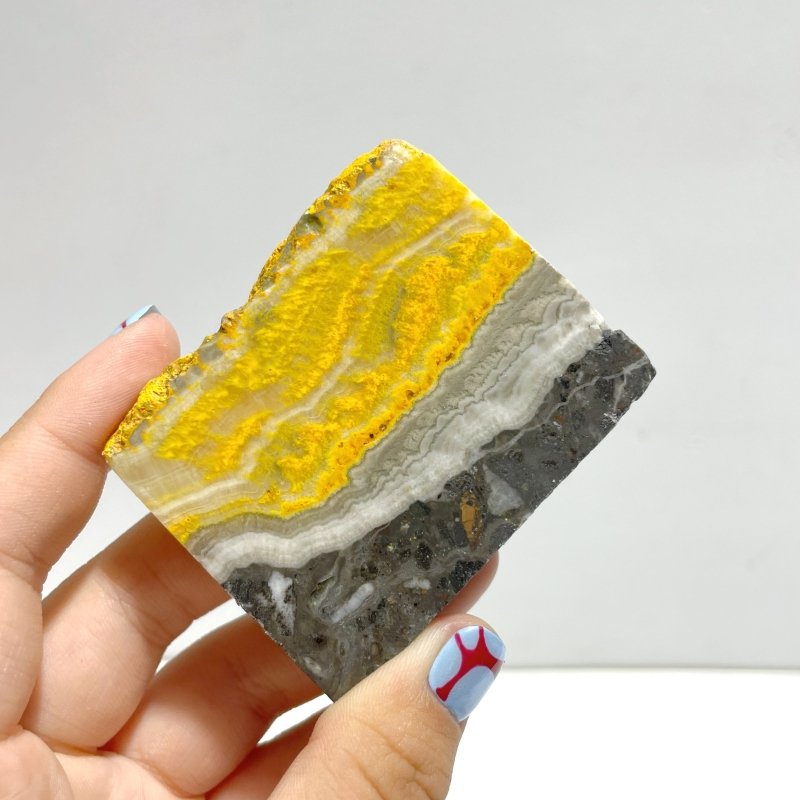 21 Pieces Bumble Bee Jasper Polished Home Decor Stone - Wholesale Crystals