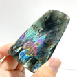 21 Pieces High Quality Labradorite Free Form - Wholesale Crystals
