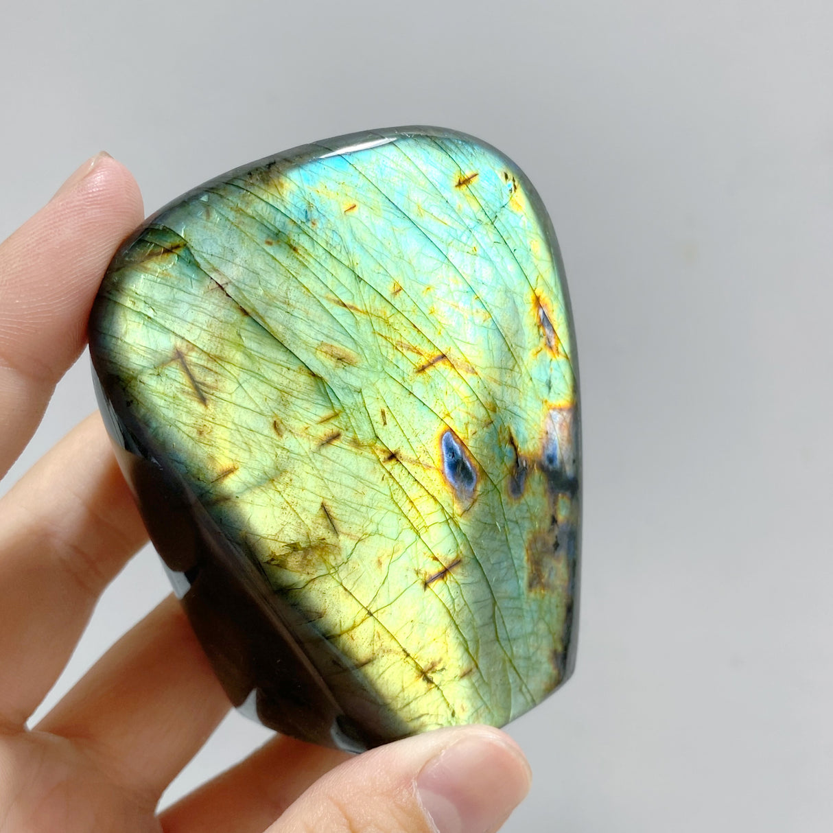 15 Pieces Labradorite Polished Free Form