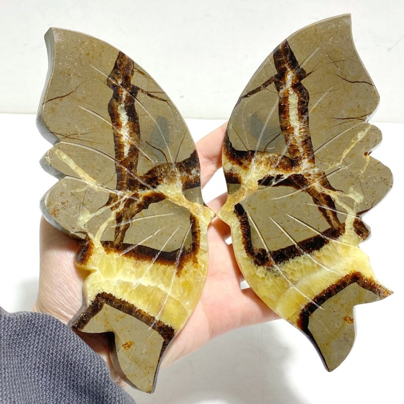 3 Pairs Septarium Butterfly Wing Carving With Stand 3 - Wholesale Crystals