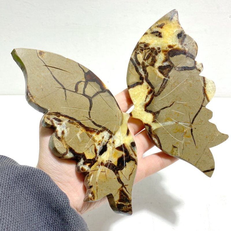 3 Pairs Septarium Butterfly Wing Carving With Stand 4 - Wholesale Crystals