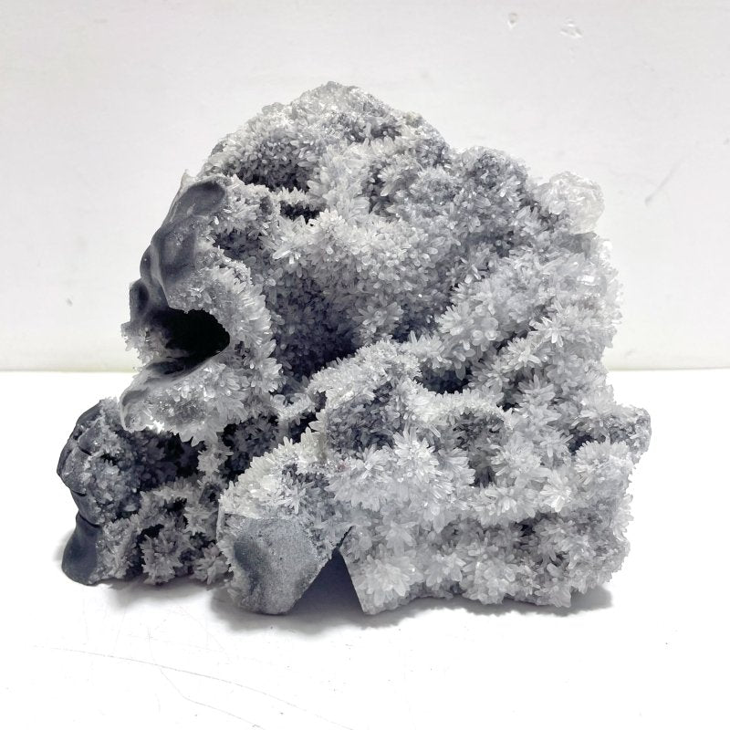 3 Pieces Large Black Clear Quartz Cluster Skull Carving - Wholesale Crystals