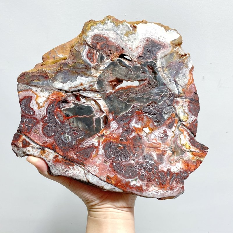 3 Pieces Large Polished Morocco Agate Slab - Wholesale Crystals