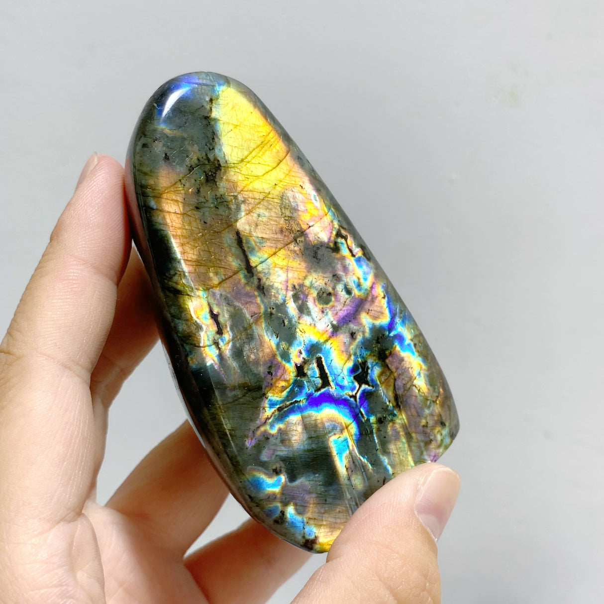 15 Pieces Labradorite Polished Free Form