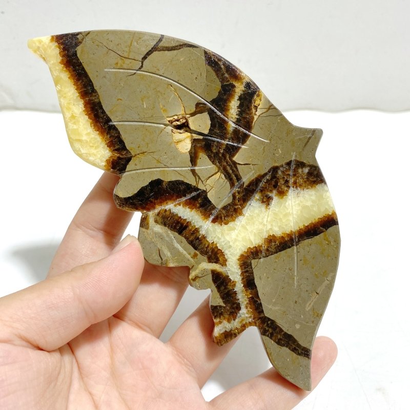 4 Pairs Septarian Butterfly Wing Carving With Stand 5 -Wholesale Crystals