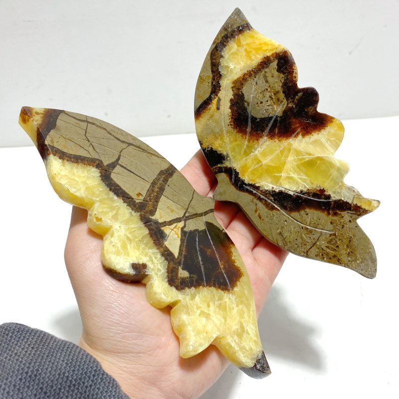 4 Pairs Septarium Butterfly Wing Carving With Stand 2 - Wholesale Crystals