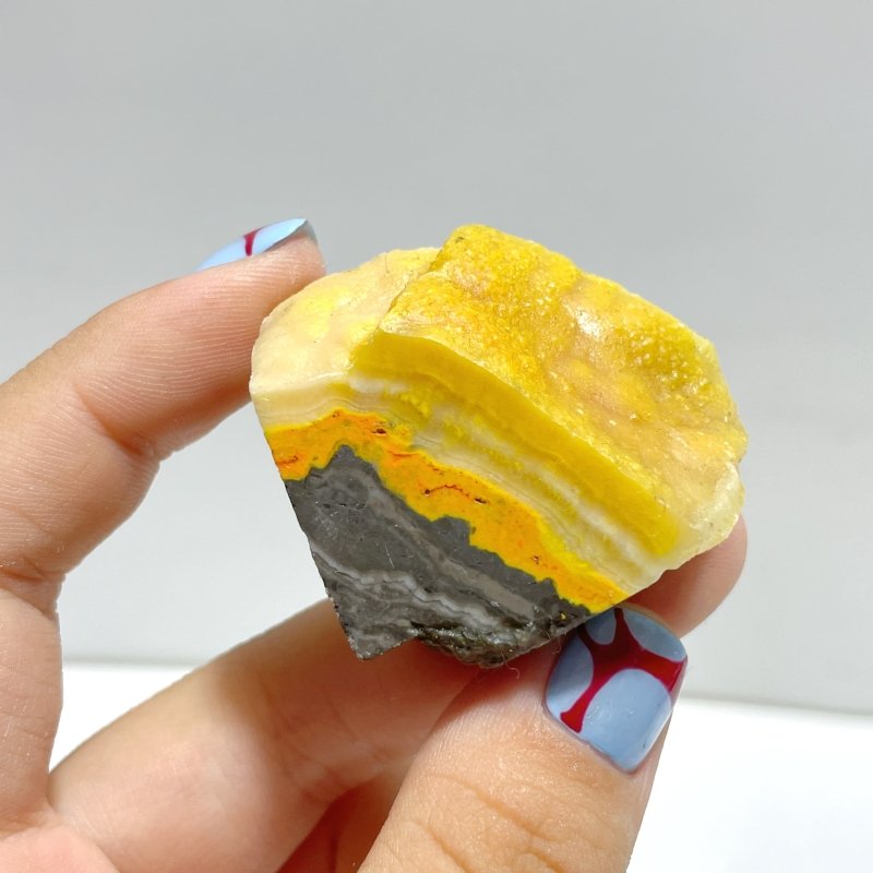 42 Pieces Bumble Bee Jasper Polished Home Decor - Wholesale Crystals