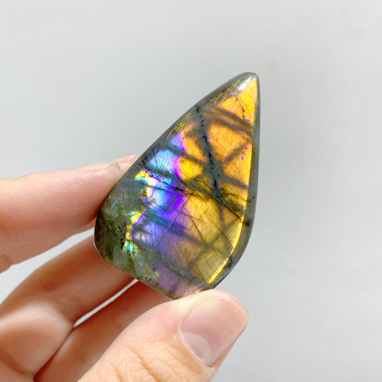 35 Pieces Polished Labradorite Free Form