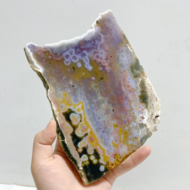 5 Pieces 8th Vein Ocean Jasper Slab -Wholesale Crystals