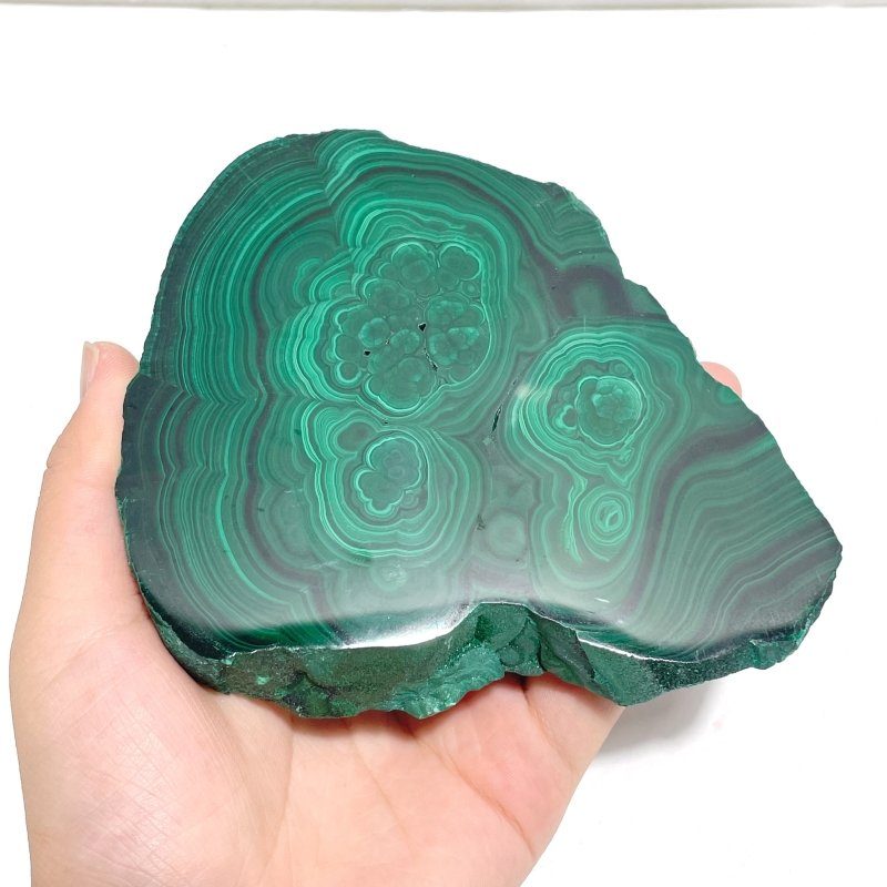 5 Pieces High Quality Malachite Specimen With Stand - Wholesale Crystals