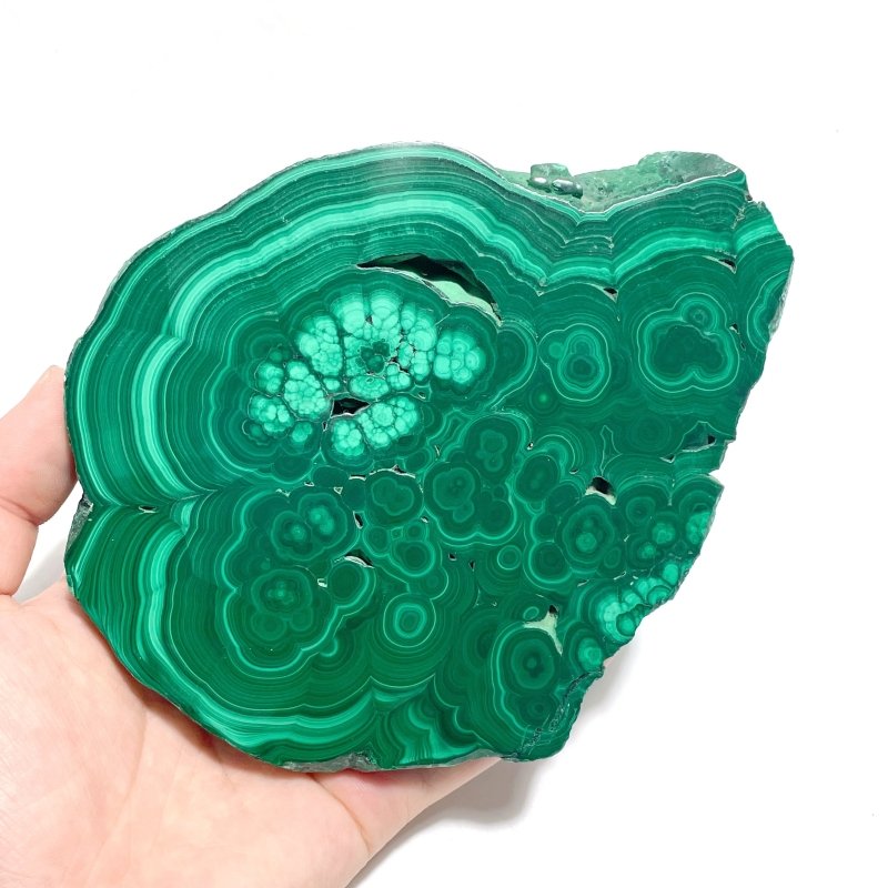 5 Pieces High Quality Malachite Specimen With Stand - Wholesale Crystals