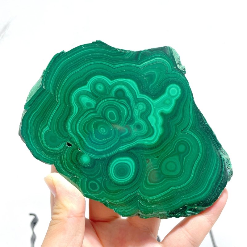 5 Pieces High Quality Malachite Specimen With Stand For Collection - Wholesale Crystals