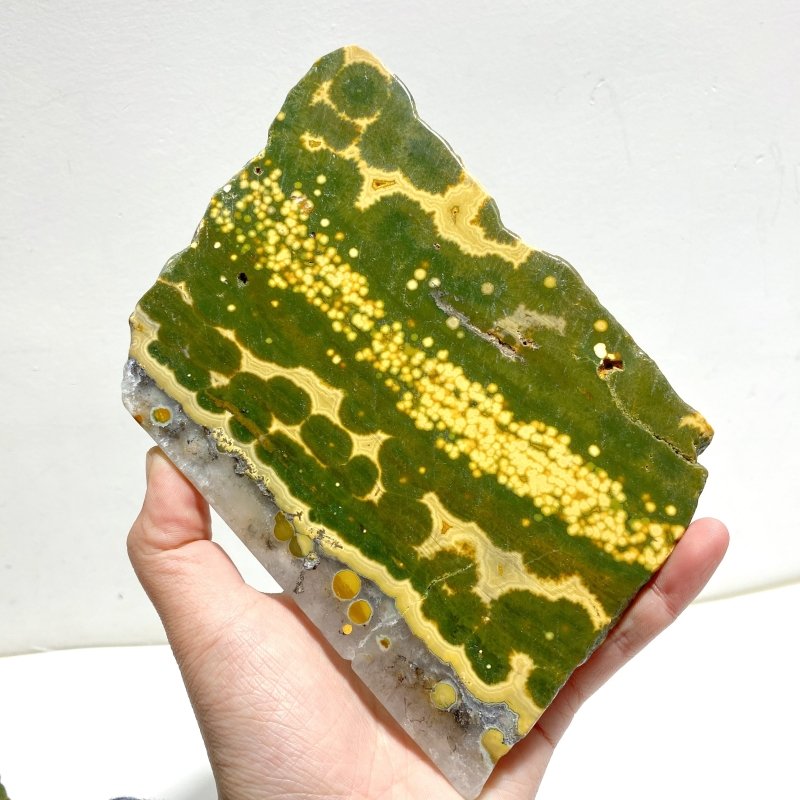 5 Pieces Large 8th Vein Ocean Jasper Slabs - Wholesale Crystals