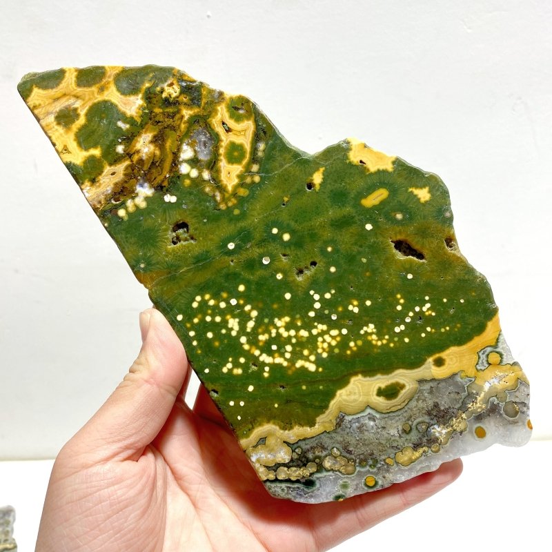 5 Pieces Large 8th Vein Ocean Jasper Slabs - Wholesale Crystals