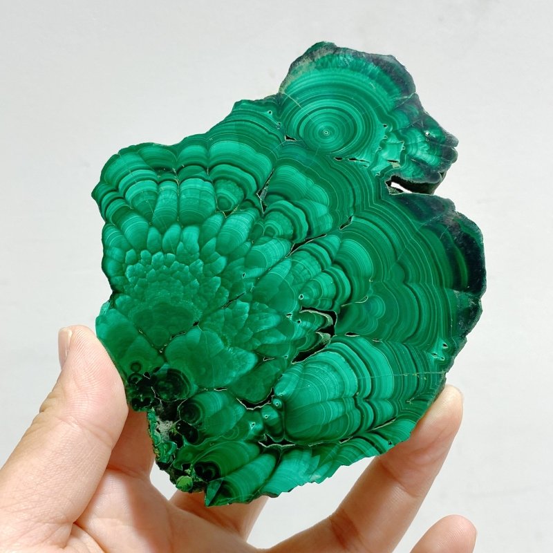 5 Pieces Large Beautiful Malachite Slab - Wholesale Crystals