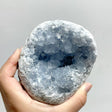 5 Pieces Large Blue Celestite Cluster Home Decor - Wholesale Crystals