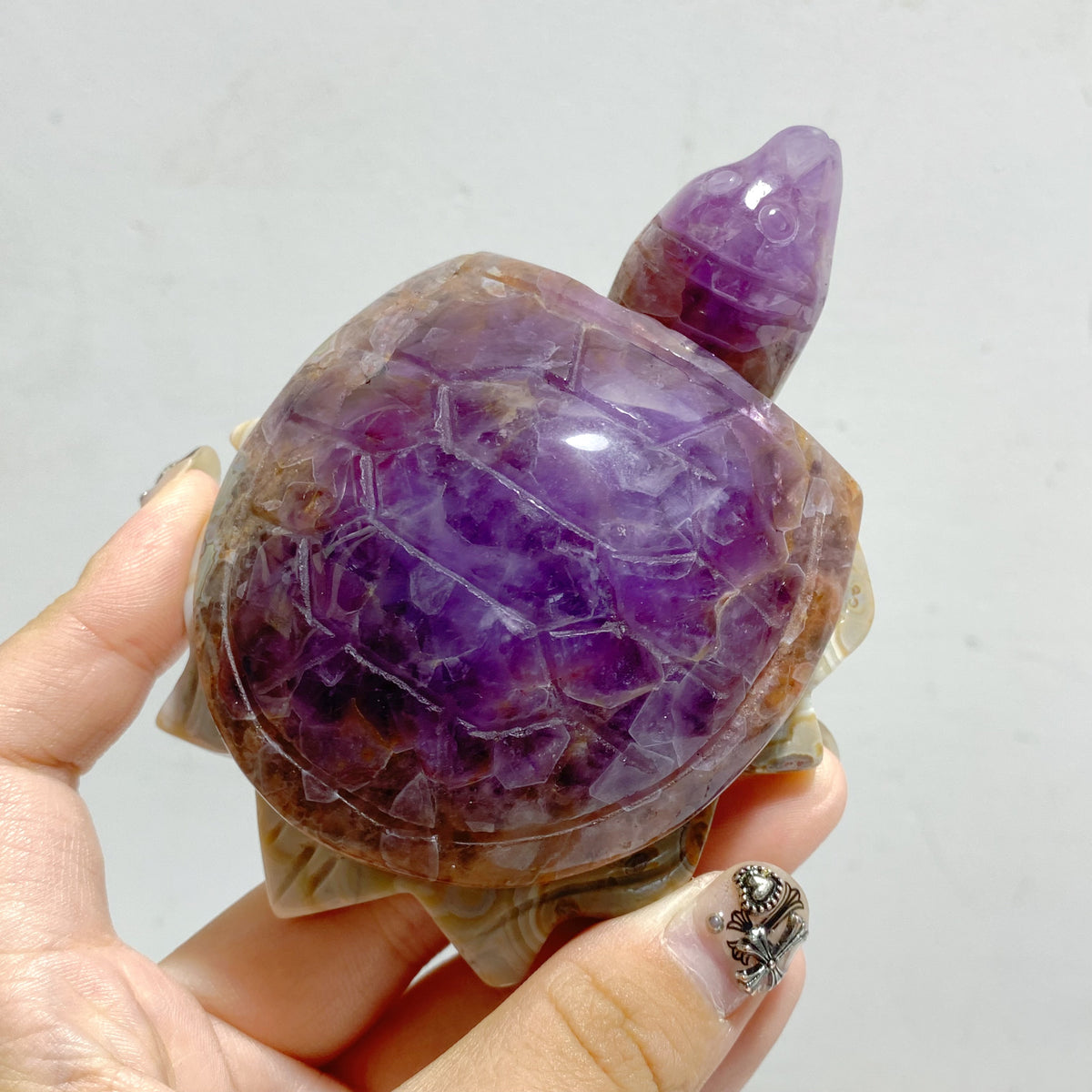 10 Pieces Amethyst Mixed Agate Turtle Carving