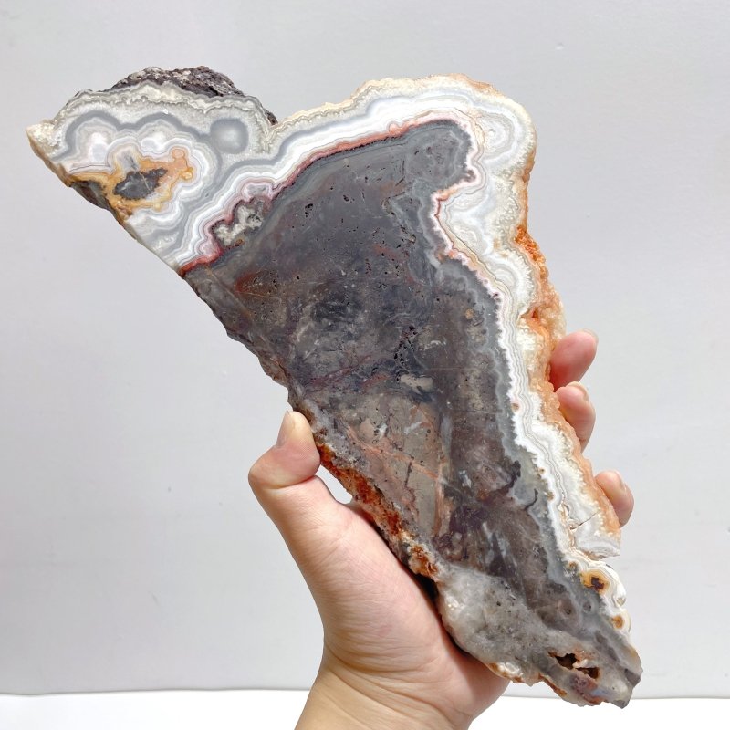 6 Pieces Beautiful Morocco Agate Cloud Shape Polished Slab - Wholesale Crystals
