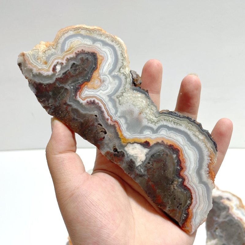 6 Pieces Beautiful Morocco Agate Cloud Shape Polished Slab - Wholesale Crystals