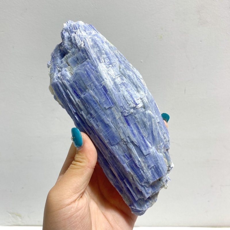 6 Pieces Blue Kyanite Rough Stone Specimen - Wholesale Crystals