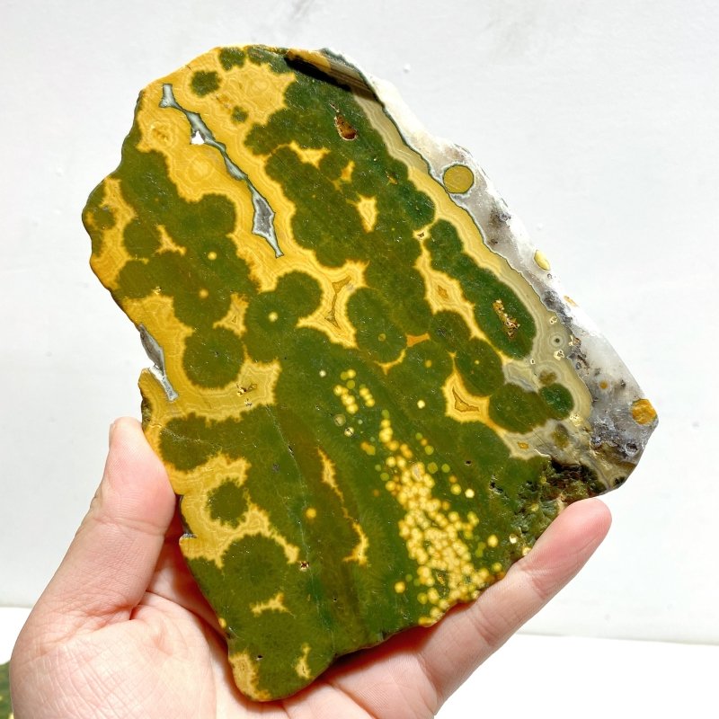 6 Pieces Large 8th Vein Ocean Jasper Slabs - Wholesale Crystals