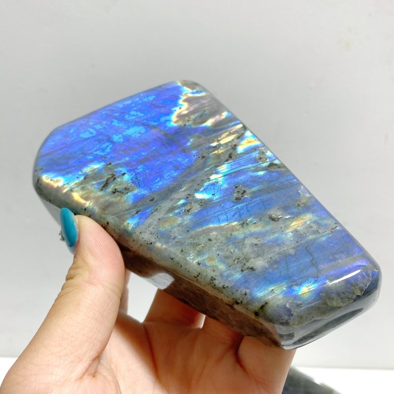 6 Pieces Large Beautiful Polished Labradorite Free Form - Wholesale Crystals