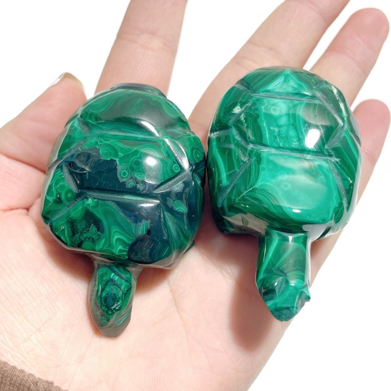 6 Pieces Malachite Sea Animals Carving - Wholesale Crystals