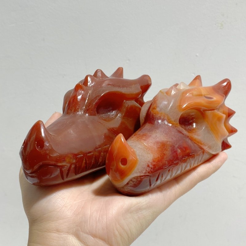 7 Pieces Carnelian Dragon Head Carving -Wholesale Crystals