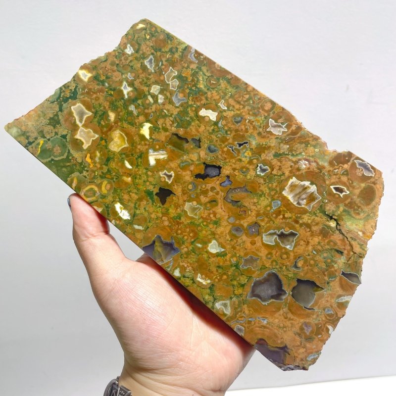 7 Pieces Peacock Eye Rain Forest Jasper Slab - Wholesale Crystals