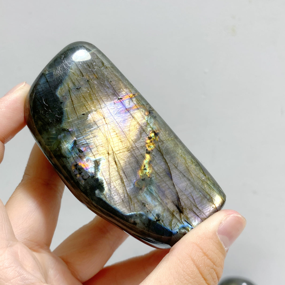 15 Pieces Labradorite Polished Free Form