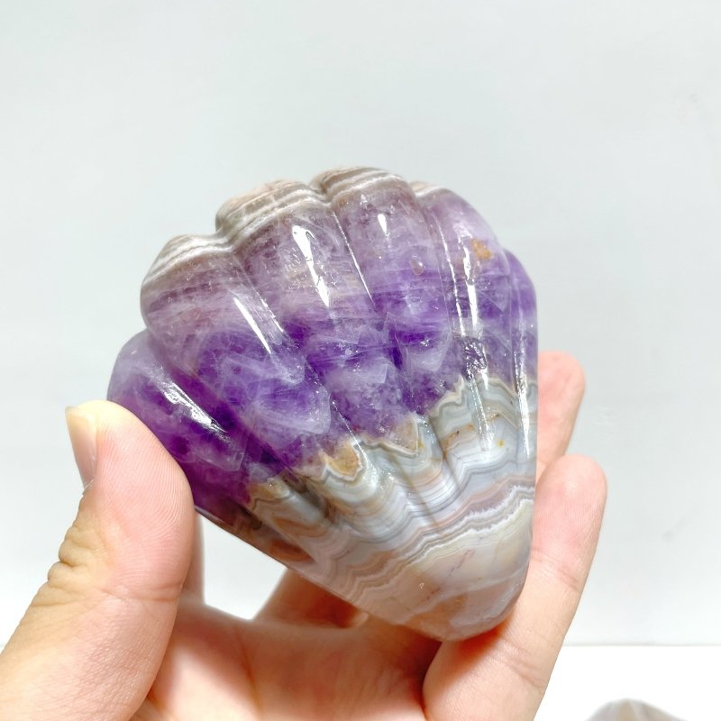 8 Pieces Amethyst Mixed Stripe Agate Shell Carving - Wholesale Crystals