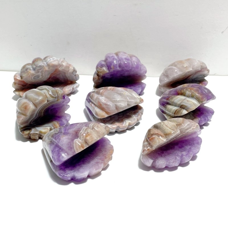 8 Pieces Amethyst Mixed Stripe Agate Shell Carving - Wholesale Crystals