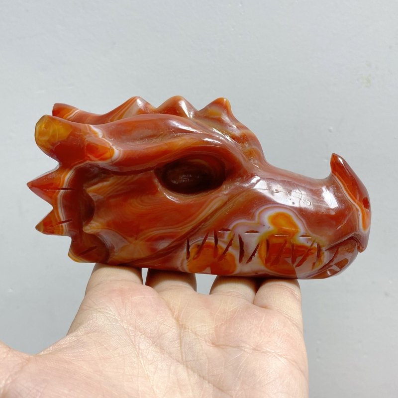 8 Pieces Carnelian Dragon Head Carving -Wholesale Crystals